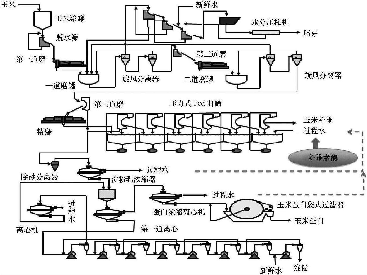 21.酶如何促進玉米淀粉與纖維分離?